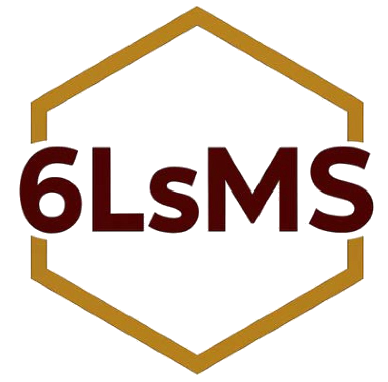 6LsMS LLC logo
